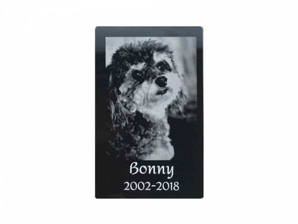 Gravierte Hundegedenkkarte mit Foto und Name
